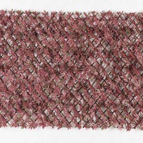 ΚΙΣΣΟΣ ΣΕ ΠΕΡΓΚΟΛΑ ΞΥΛΙΝΗ 1,00X2,00M ΜΕ ΠΥΚΝΗ ΦΥΛΛΩΣΙΑ ΜΕ ΚΟΚΚΙΝΑ ΛΟΥΛΟΥΔΙΑ 192022Α