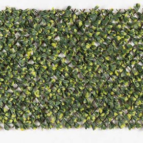 ΚΙΣΣΟΣ ΣΕ ΠΕΡΓΚΟΛΑ ΞΥΛΙΝΗ 1,00X2,00M ΜΕ ΠΥΚΝΗ ΦΥΛΛΩΣΙΑ 186006Α