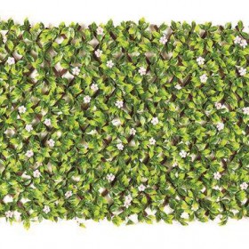 ΚΙΣΣΟΣ ΣΕ ΠΕΡΓΚΟΛΑ ΞΥΛΙΝΗ 1,00X2,00M ΜΕ ΠΥΚΝΗ ΦΥΛΛΩΣΙΑ ΜΕ ΛΟΥΛΟΥΔΙΑ 192022Α